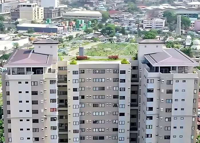 Dg Hive Cebu